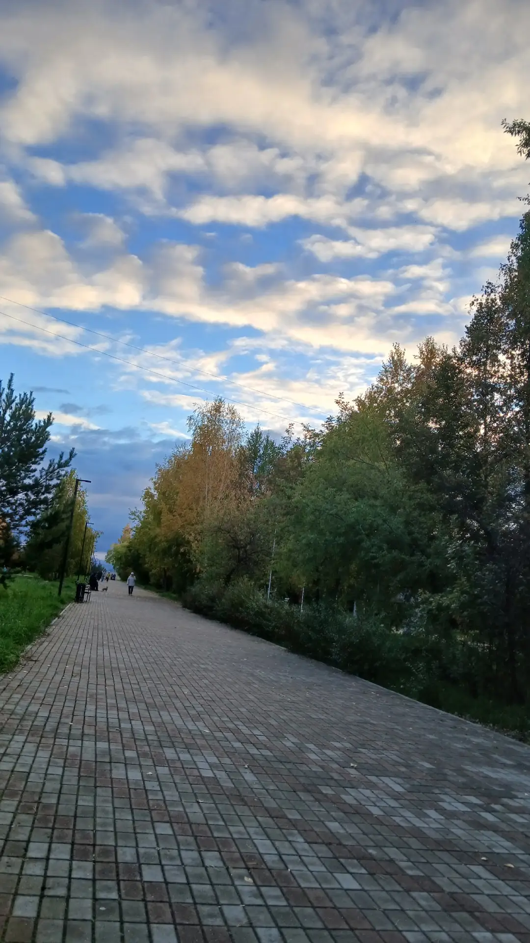 Погода в Сосновоборске на 3 октября: