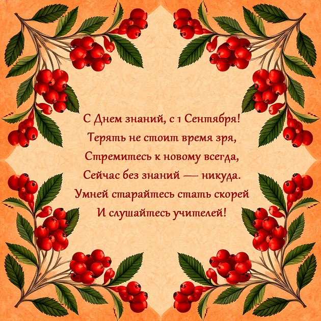 С началом нового учебного года!