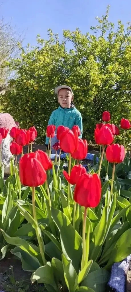 Тематическая неделя «Мое село» в старшей группе