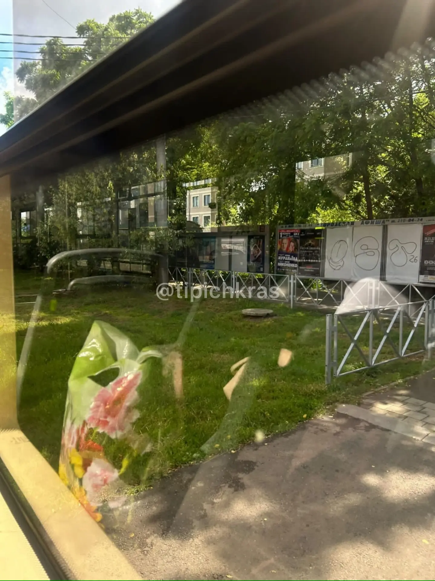 Краснодарцы снова жалуются на нападения бродячих собак

Нам пишут:

- Вчера проходила мимо остановки