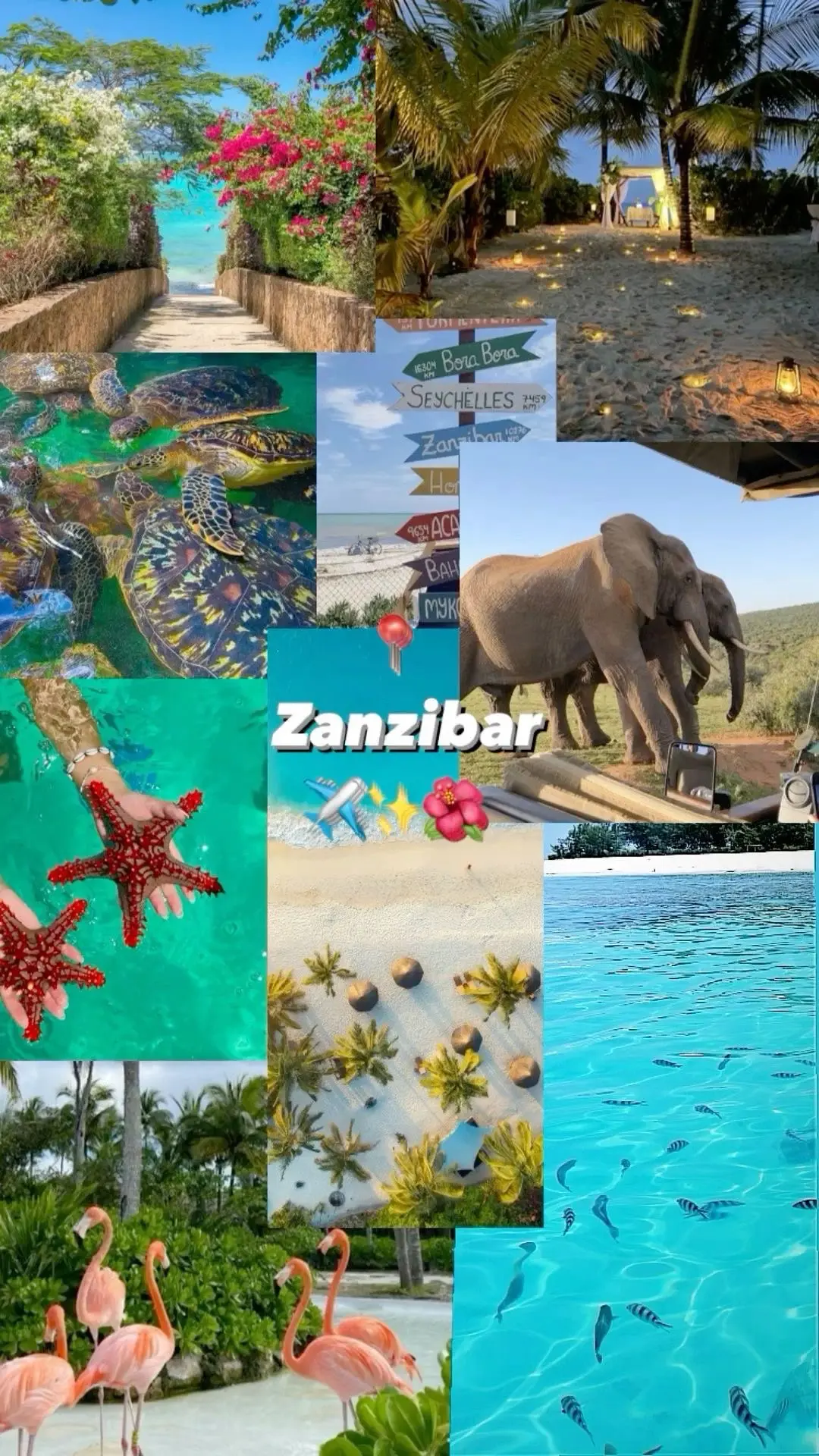 🔥 🇹🇿🇷🇺 Хорошие новости ! Air Tanzania сделала рейсы с Занзибара в Москву прямыми.

Теперь самол