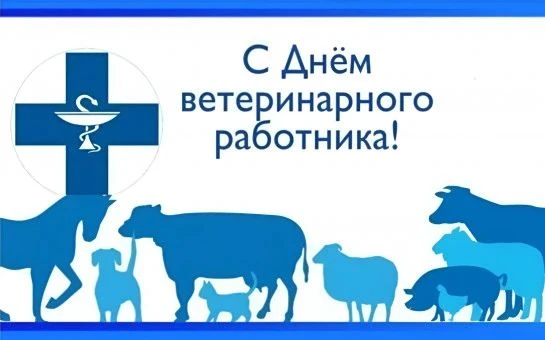 📌Дорогие друзья, уважаемые коллеги!