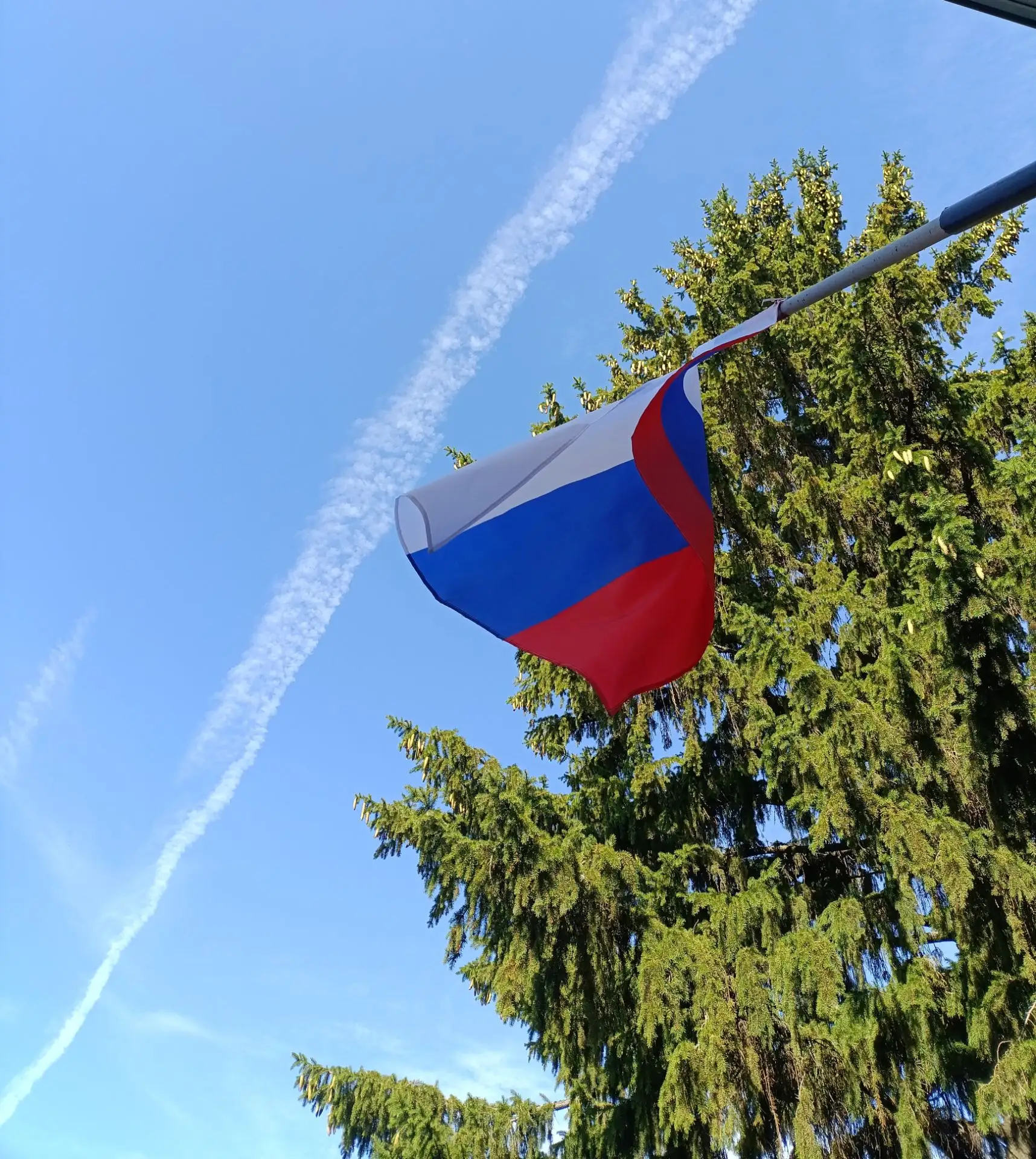 Мирного неба над головой!
