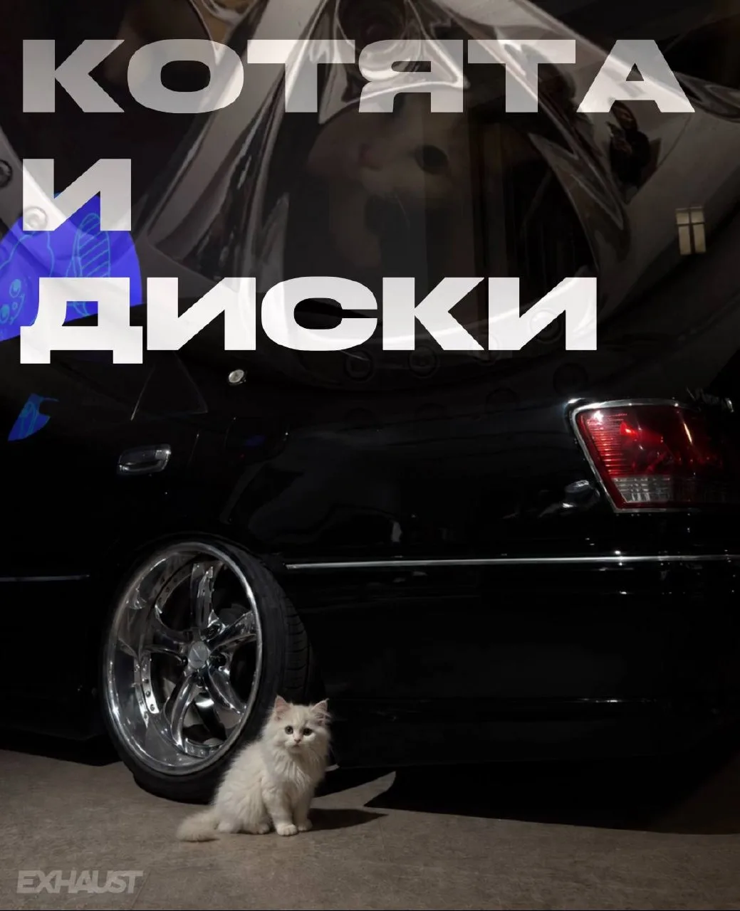 Проверяйте свои диски на наличие котов🐈