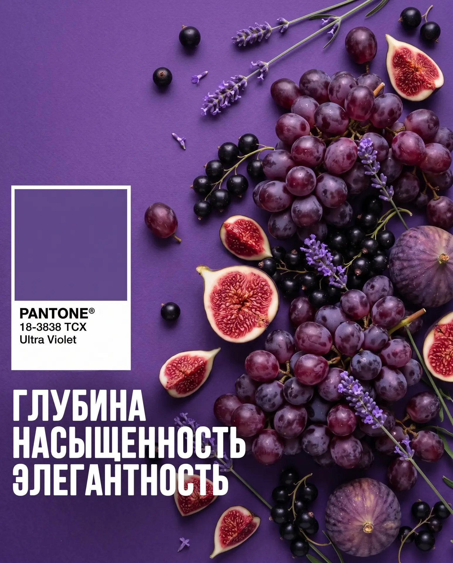 Цвет недели - фиолетовый 💜
