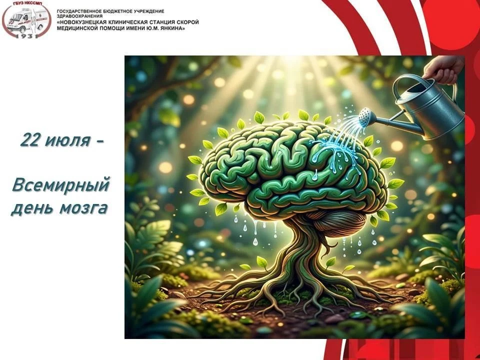 🌿 Мозг — как дерево: чем больше новых связей (веточек-нейронов), тем он крепче и гибче.