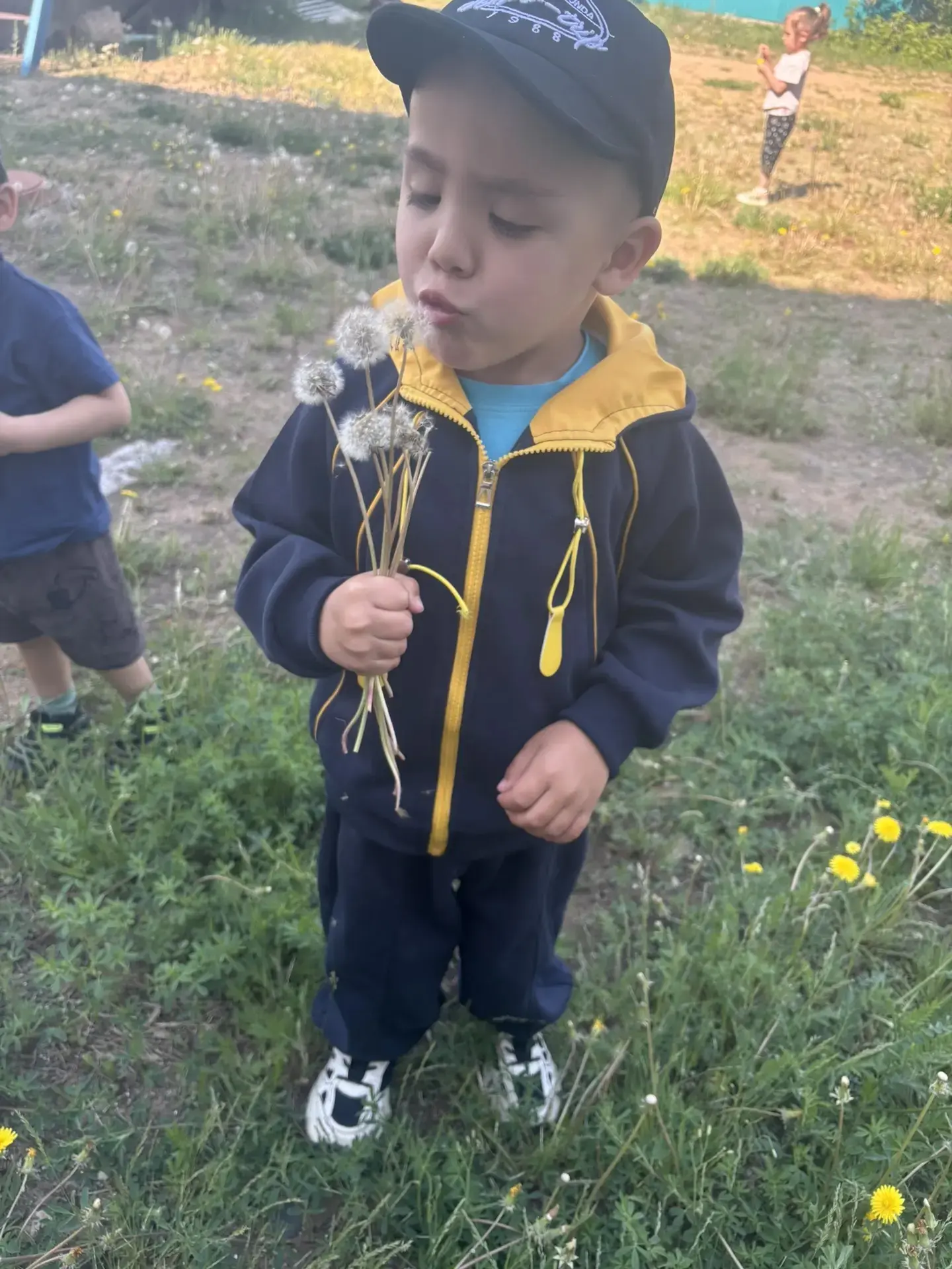 🌼 Одуванчиковое настроение! 🌼
Жёлтое море на лугу, белые пушинки на ветру… Простые радости лета, к
