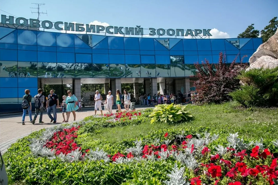 Слонов в Новосибирском зоопарке не будет как минимум до 2050 года

Директор Новосибирского зоопарка 