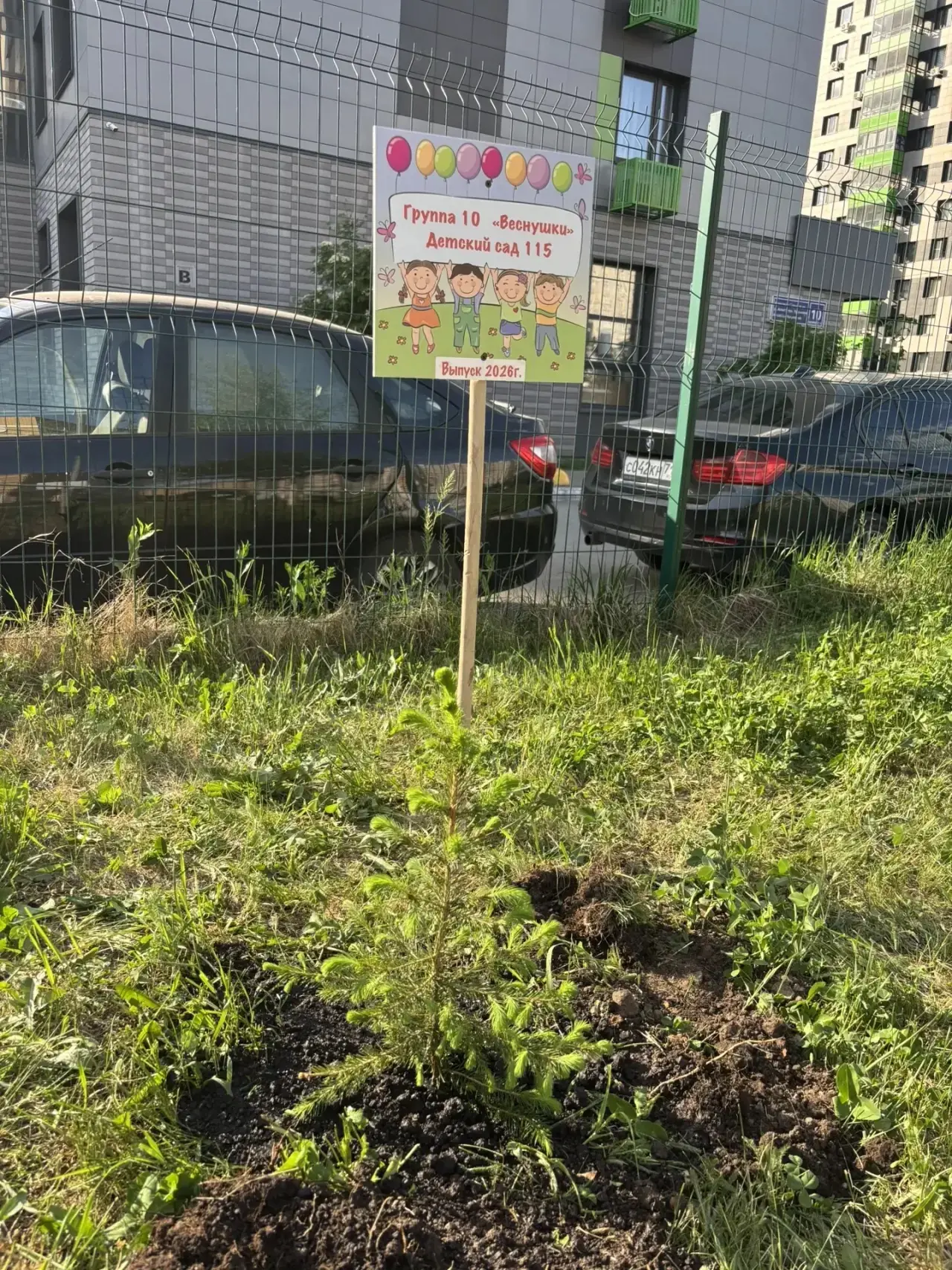 Выпускники 2026 года группа «Веснушки» высадили ель — символ памяти и благодарности дет...
