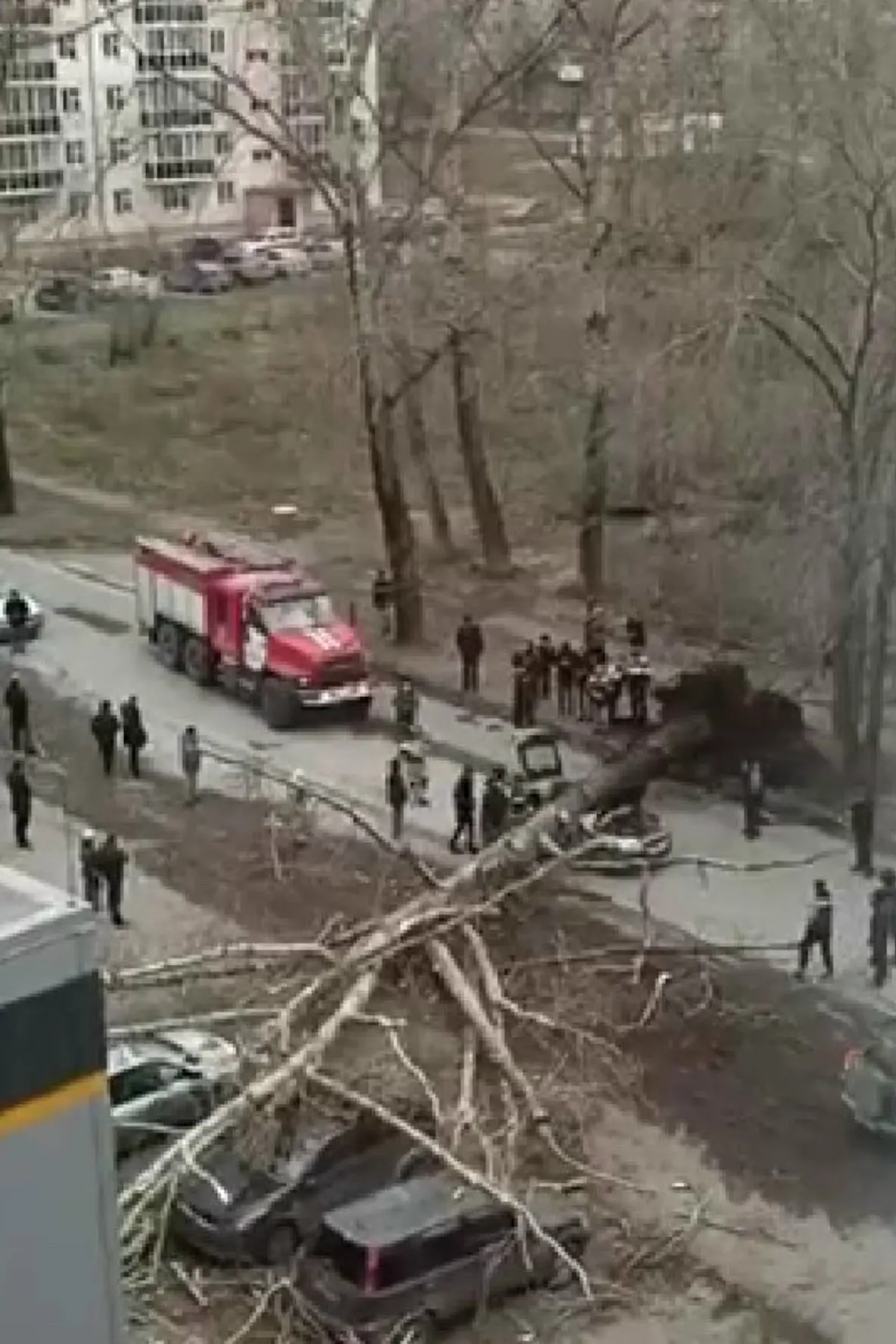 💥Новокузнечанка высудила с городской администрации компенсацию за гибель родственников от упавшего 