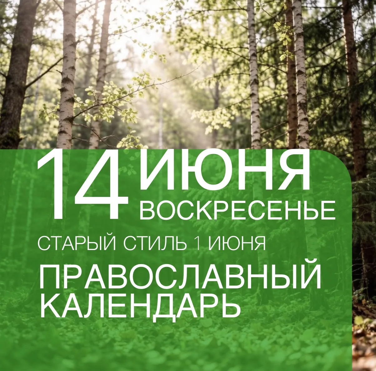 Календарь дня
Неделя 2-я по Пятидесятнице, Всех святых, в земле Русской просиявших  
Апостольский по