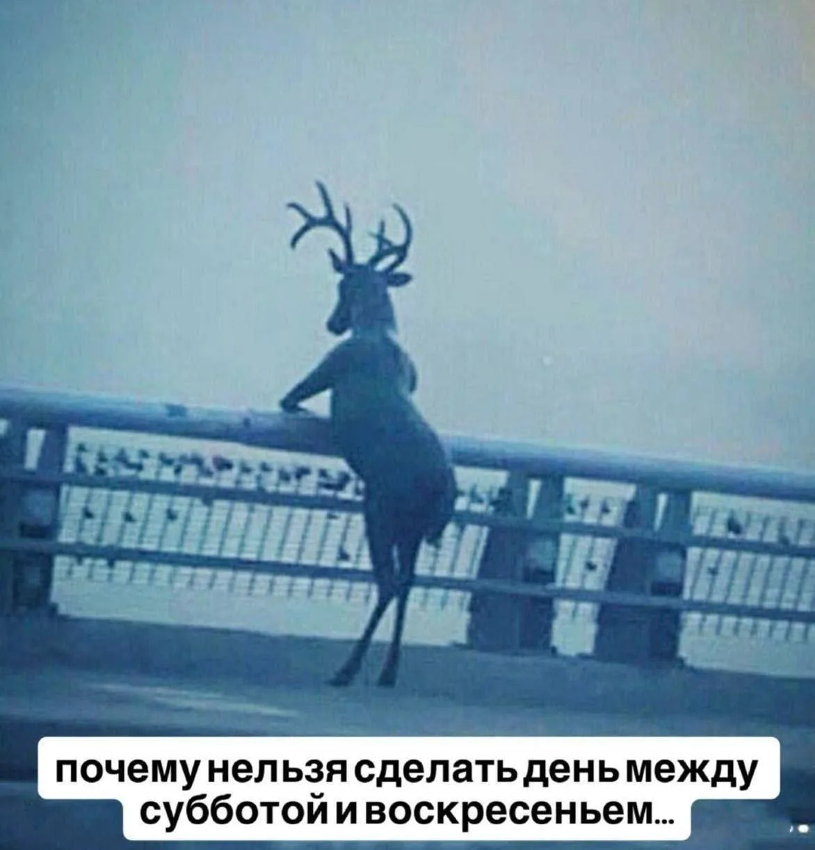 Эта мысль преследует всю рабочую неделю😅