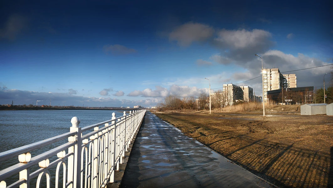 2008 год