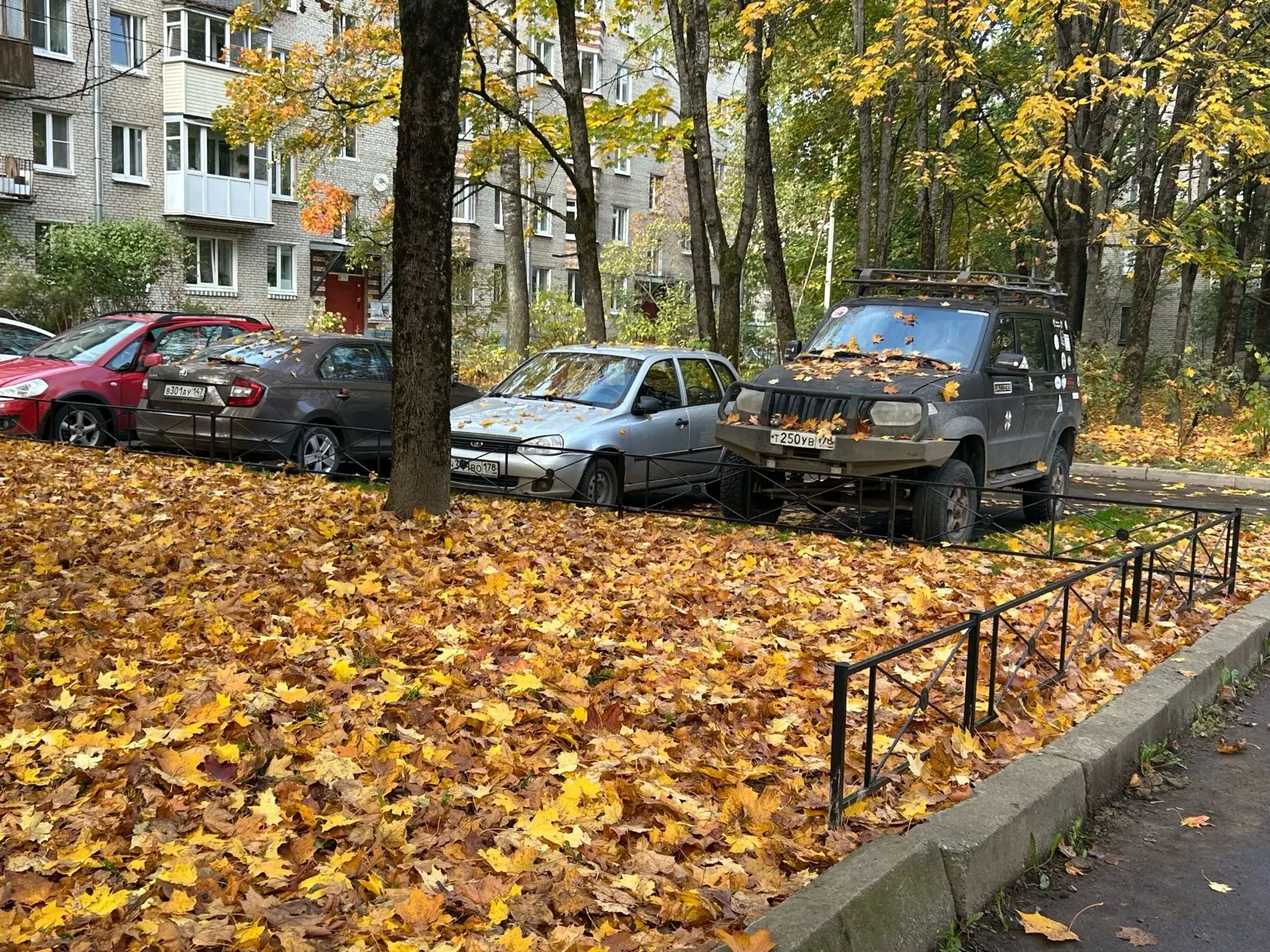 ‼️Завтра обещают порывы ветра: будьте осторожны
