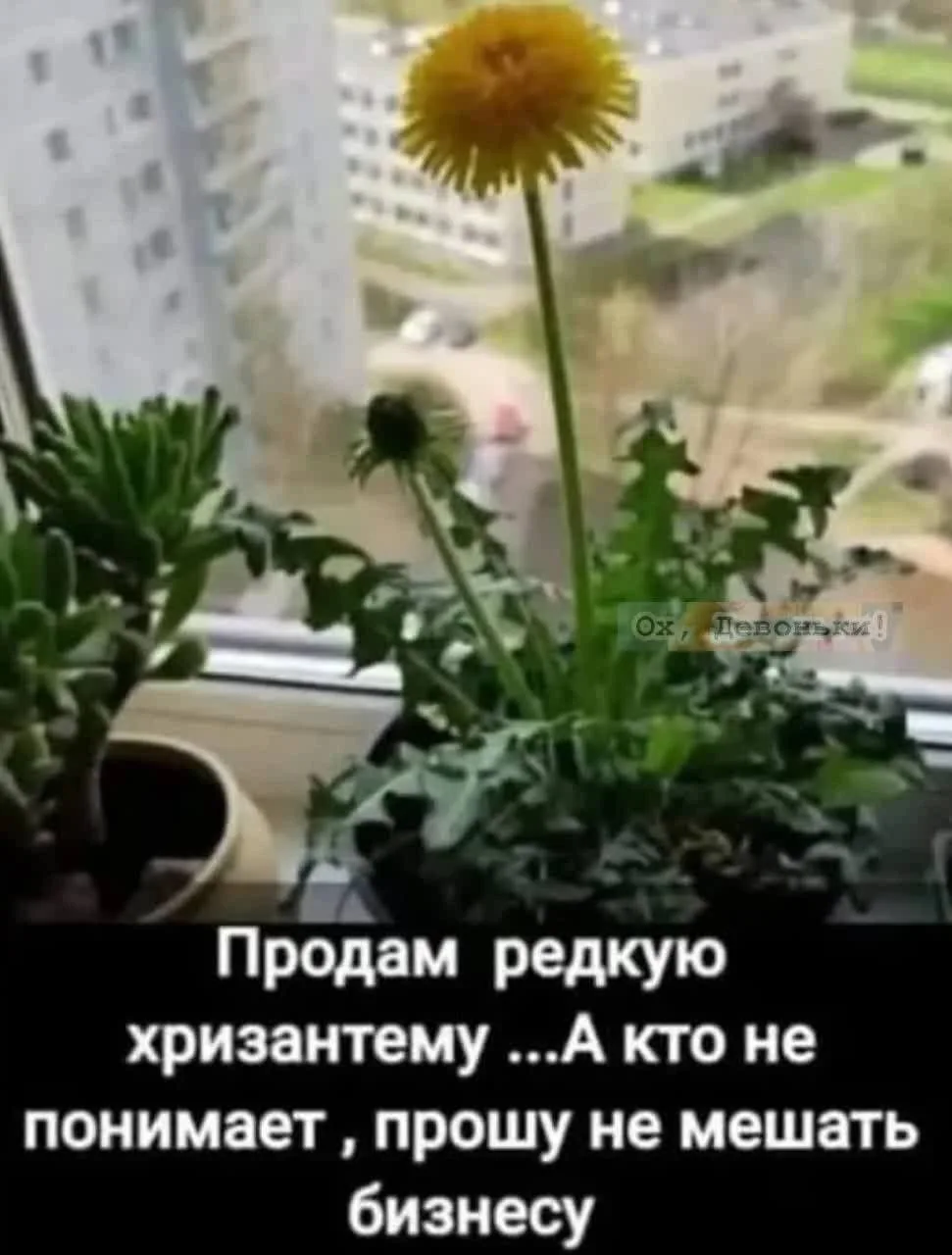 😂 #юмор