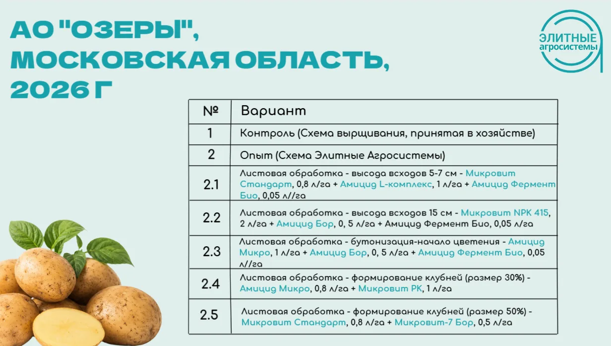 Завершили демонстрационное испытание схемы питания картофеля в АО «Озеры», Московская о...