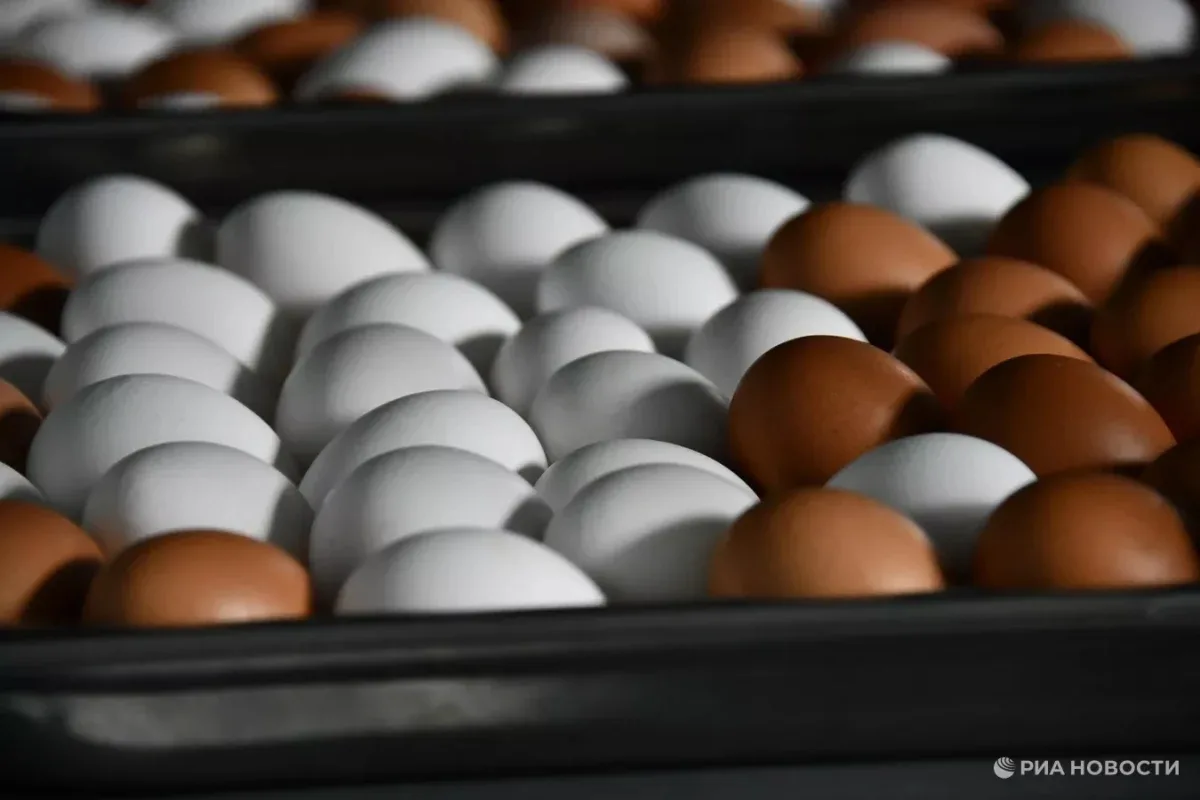 🛒 Яйца, масло и рыба: АКОРТ назвала самые подешевевшие продукты мая

🥚🧈Стоимость товаров «первой 