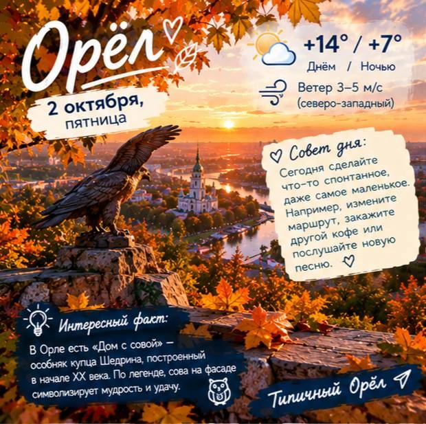 😴 Доброе утро, Орёл!
