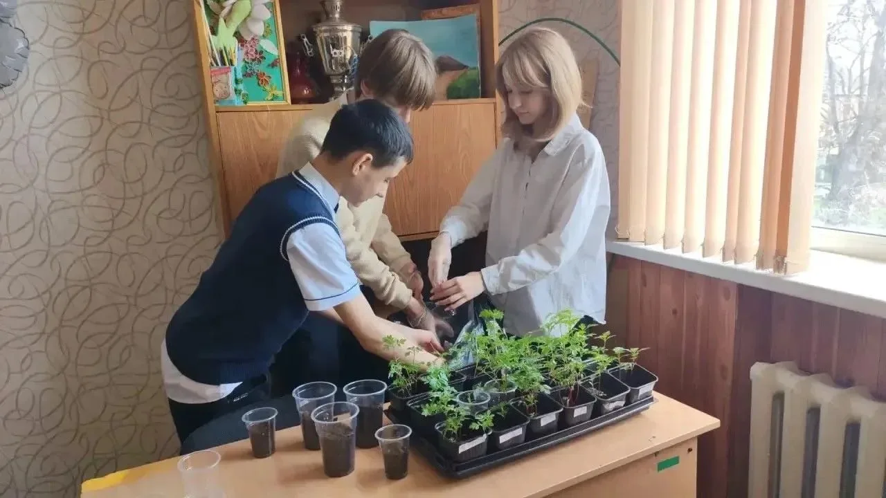 🌱 В Краснолучском округе дети и подростки доказали: память о героях живет в добрых делах. Юные патри