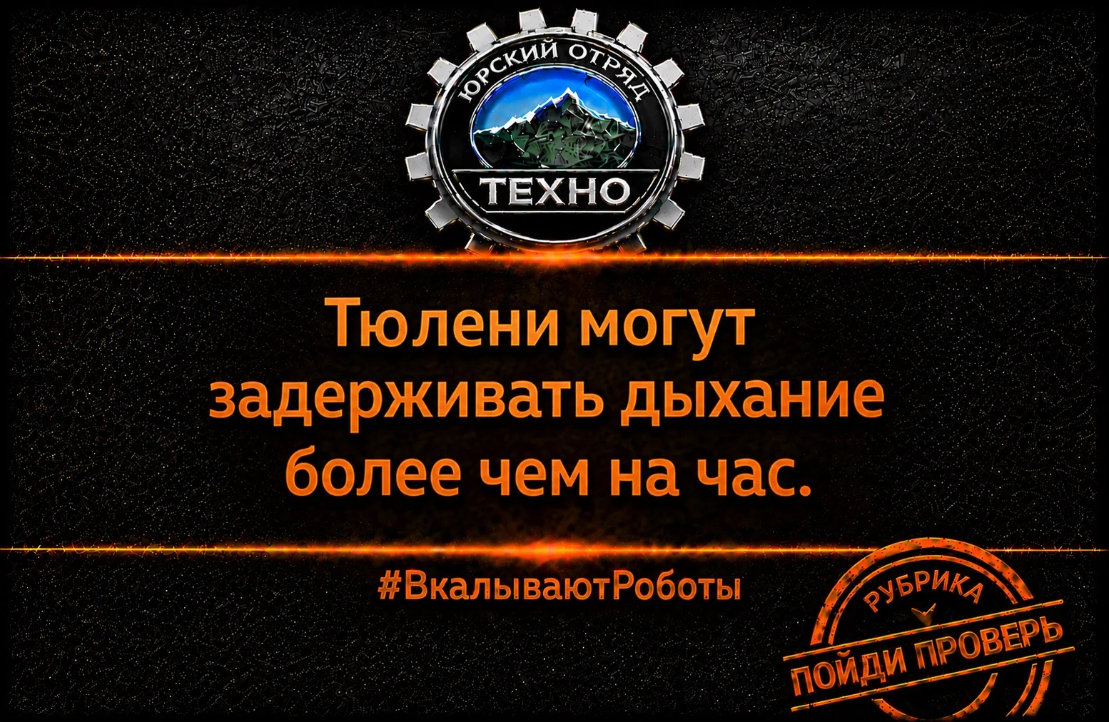 #ВкалываютРоботы #ROBOT #AGRO #TECH #AI #FYP