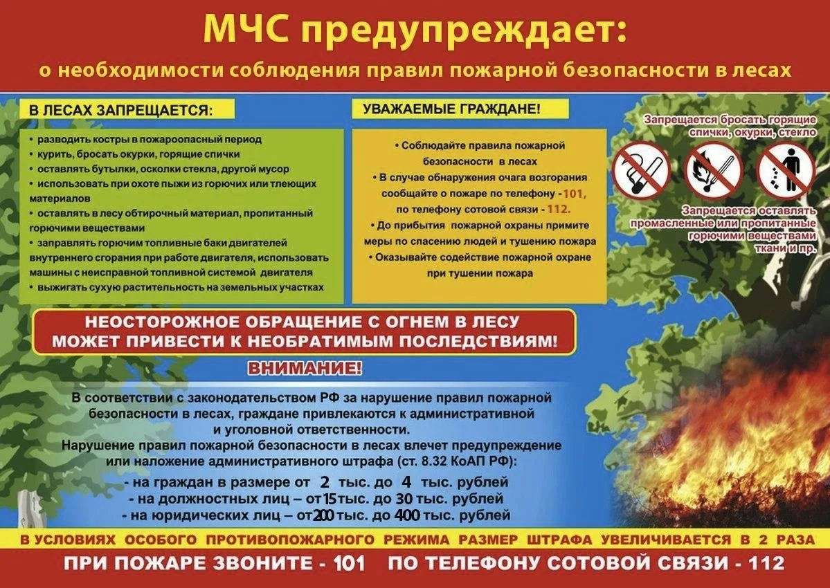 🔥 МЧС предупреждает: огонь в лесу — это опасно и наказуемо!