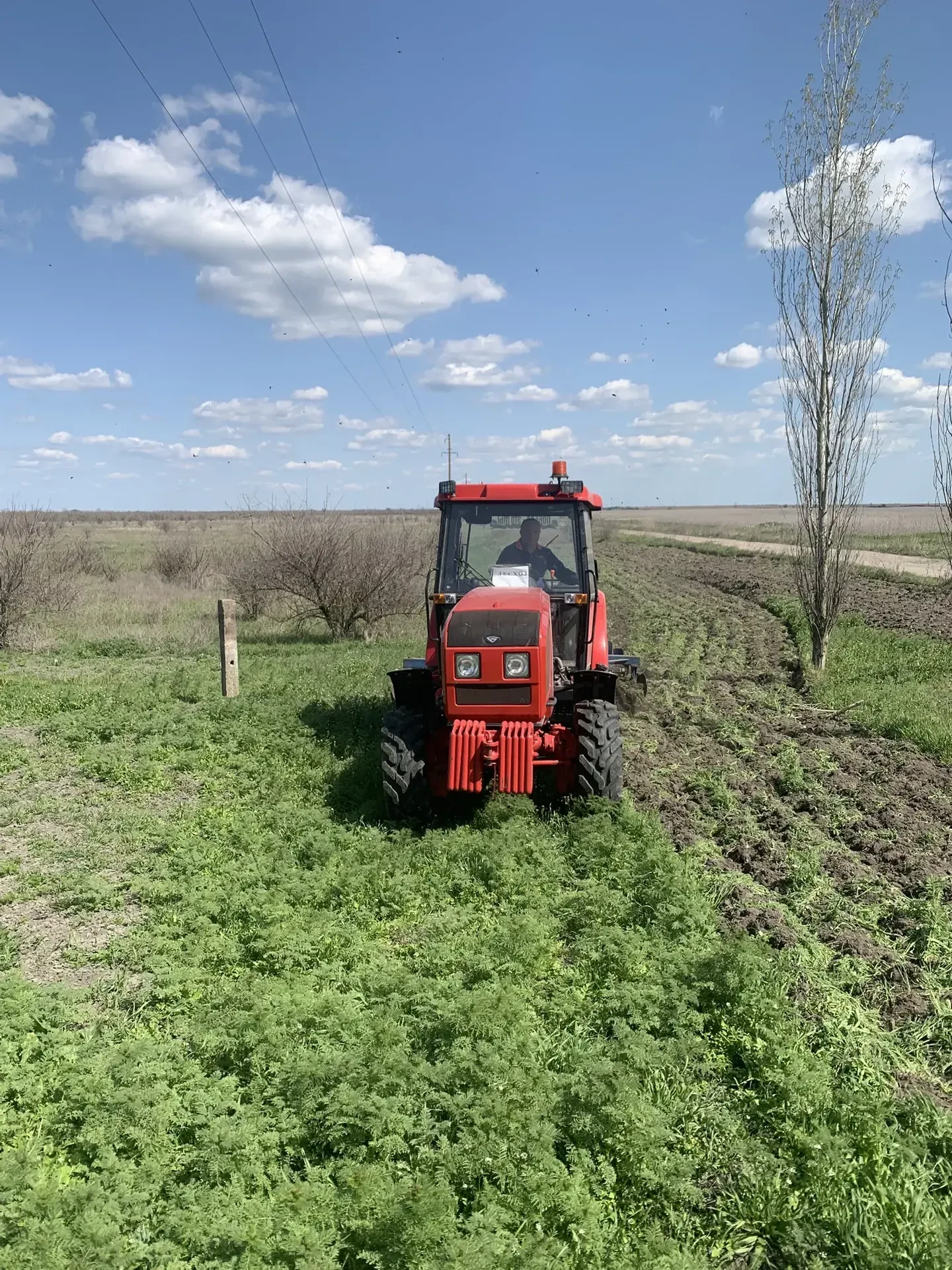 «Новотроицкое лесоохотничье хозяйство создало противопожарные рубежи - минерализованные полосы»
 
Со