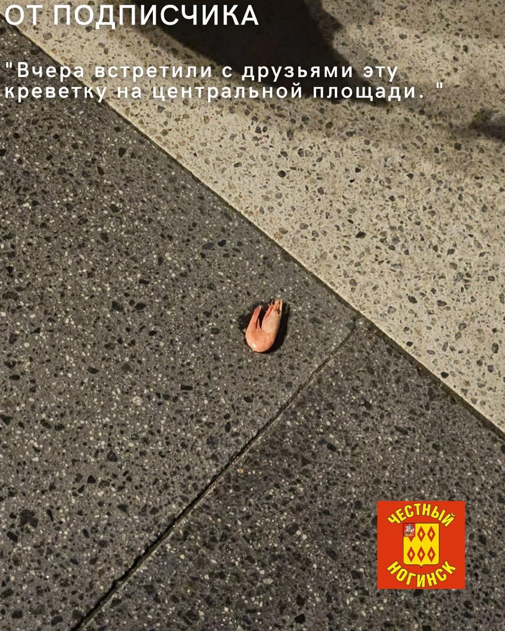 От подписчика