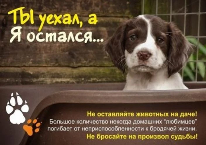 🍂 Близится зима, дачный сезон подходит к концу… 🍂Тёплые осенние деньки скоро останутс...