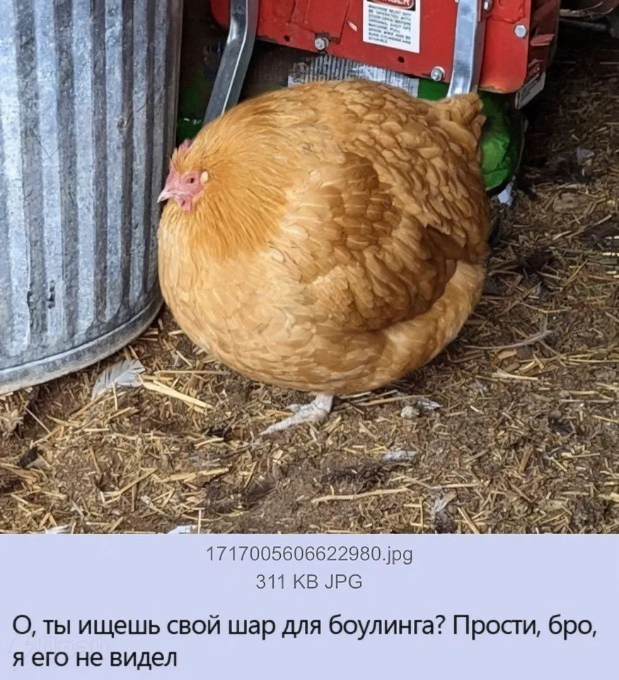 Улётные приколы - Подписаться