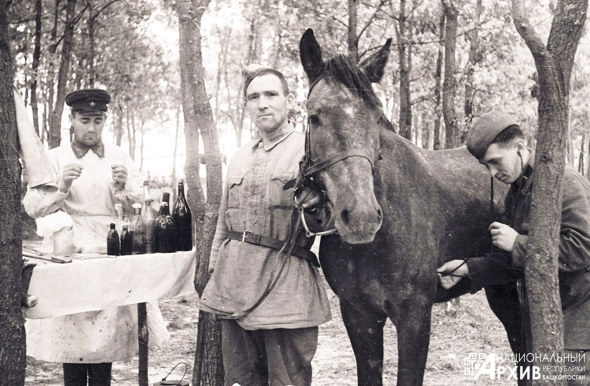 История легендарной 112-й Башкирской кавалерийской дивизии в фотодокументах Национального архива РБ: