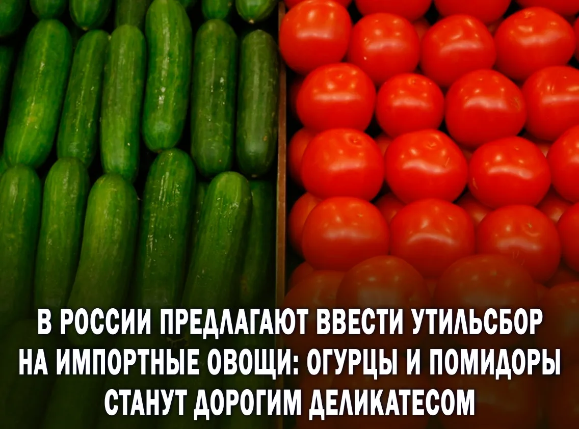 😡«Утильсбор» на огурцы и помидоры могут ввести в России