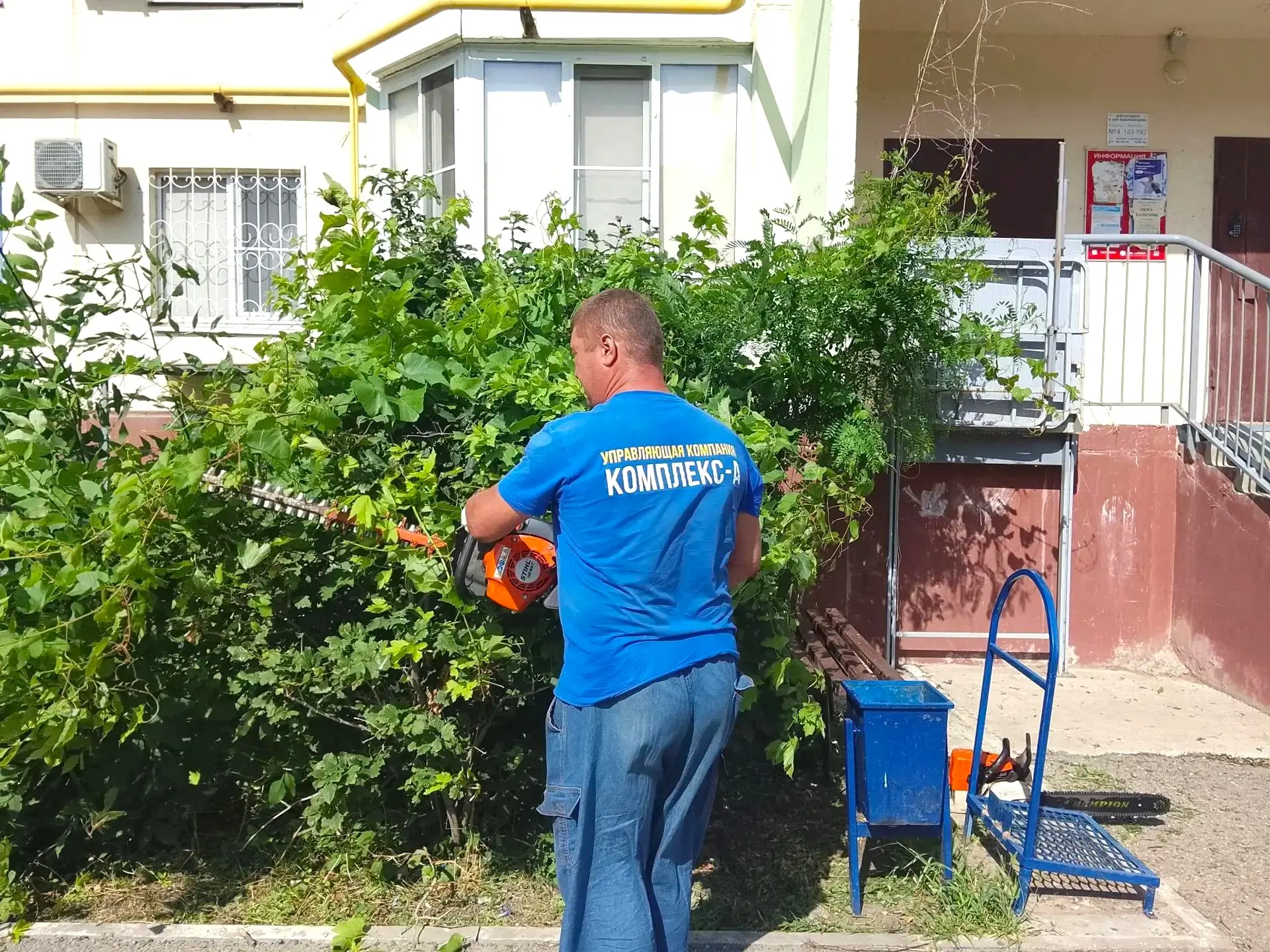 К новости «✂️ 🌿 Форма имеет значение:»