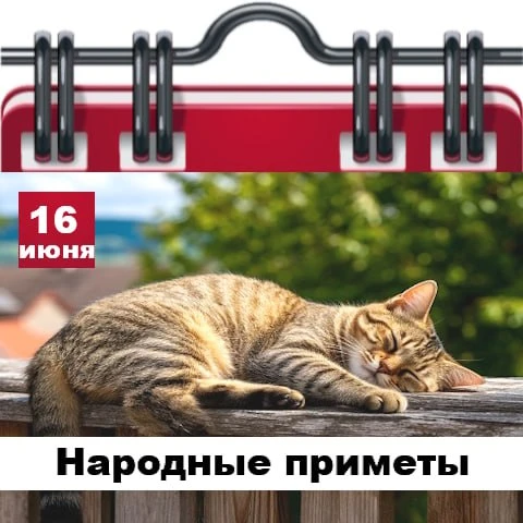 Народные приметы 16 июня

✅ Утренний туман по воде бежит – к ясному погожему дню.
✅ Совы кричат, зна