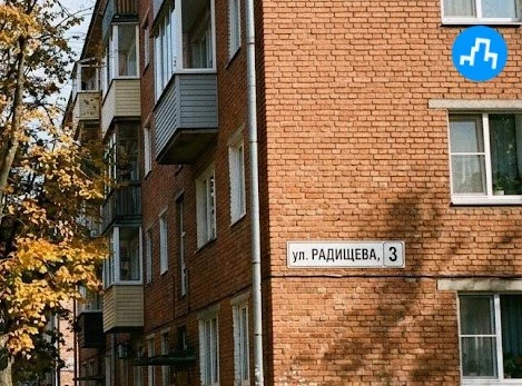 Ищем очевидцев: нападение собак на улице Радищева