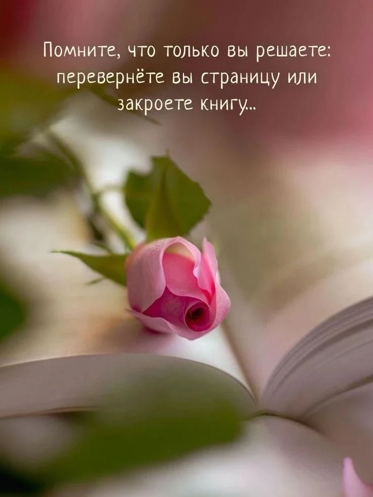 #венеравкедах
