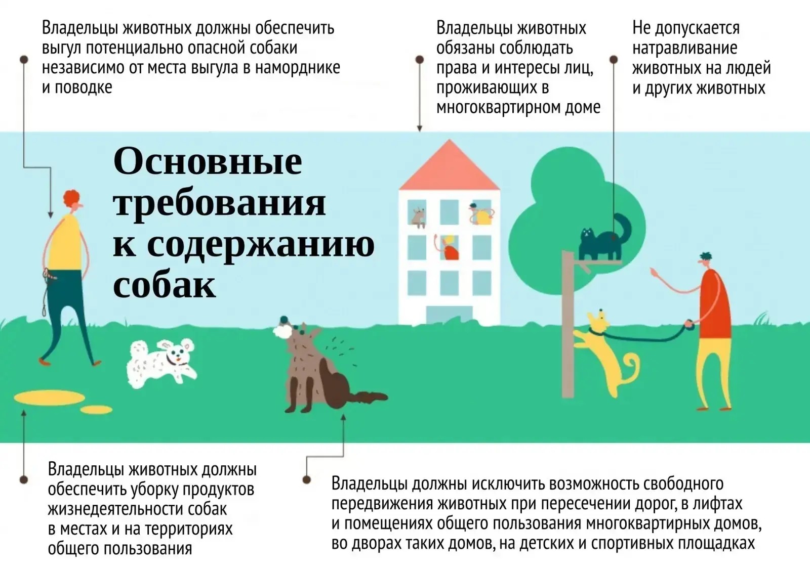 Домашние животные в общественных местах: магаданцам напомнили правила выгула своих питомцев

🐕‍🦺  