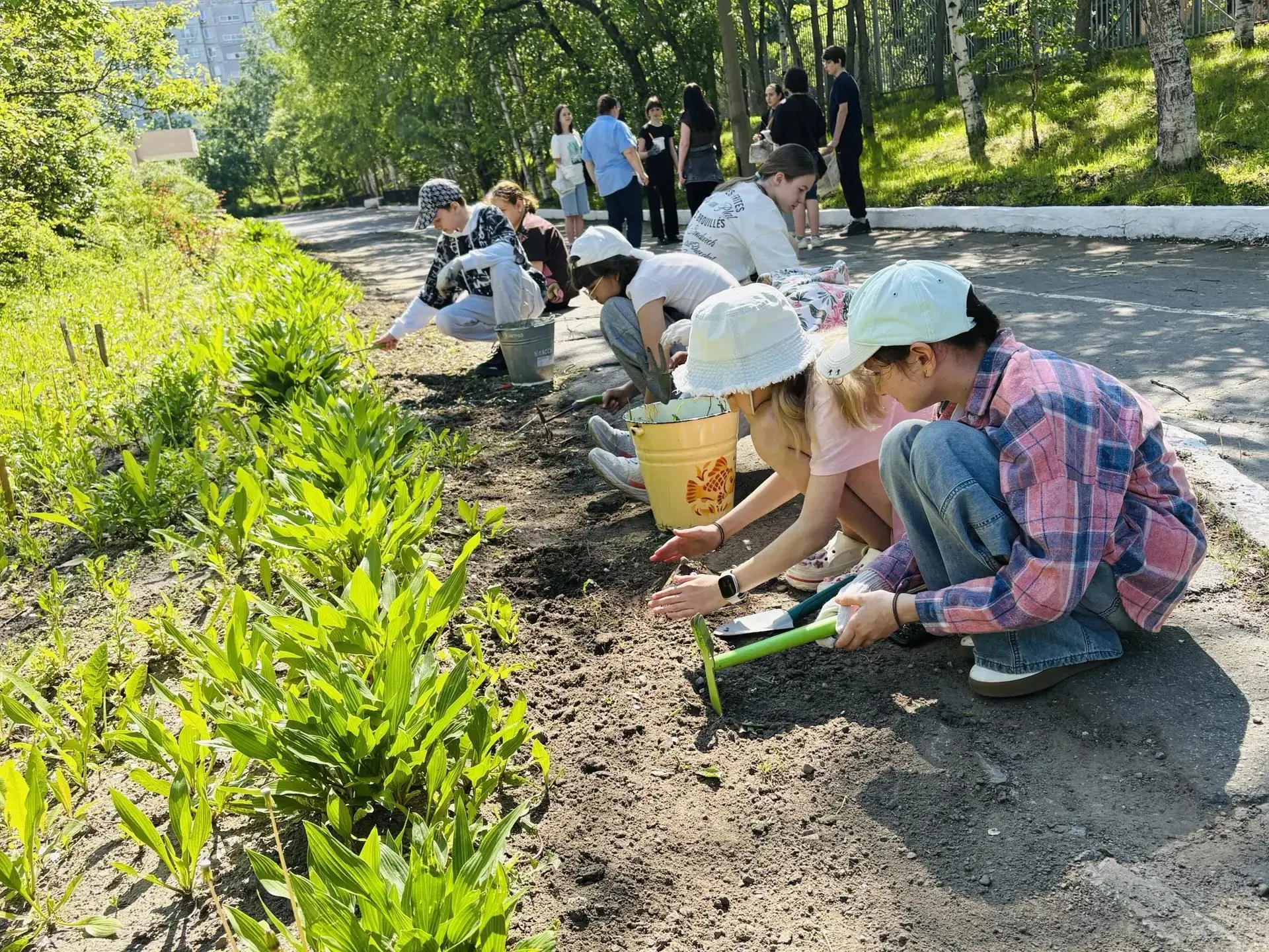 🤲 Маленький вклад в большое дело.

🧹 С граблями, лейками и кисточками ребята превращают школьный д