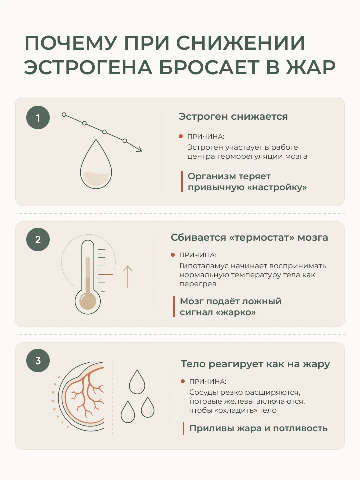 Как именно снижение эстрогена вызывает приливы жара

В прошлом посте мы разобрали: причина внезапных