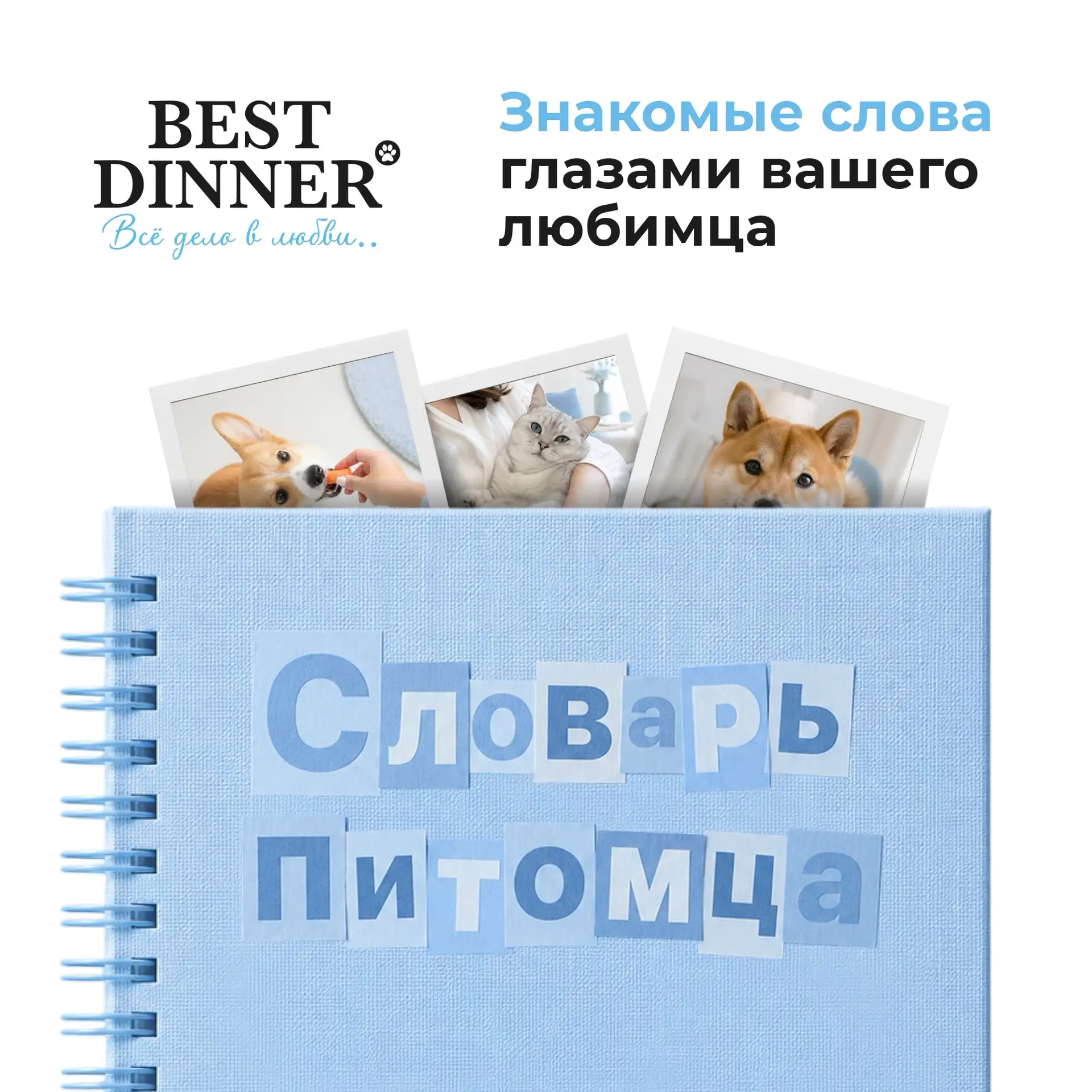 СЛОВАРЬ ПИТОМЦА 📖