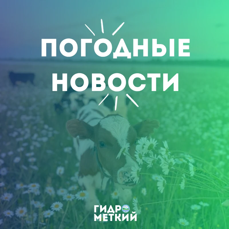 💥 Доброе утро, Гидромет!
Начинаем свой день правильно, а именно с прогноза погоды на 15 июня 2026 г