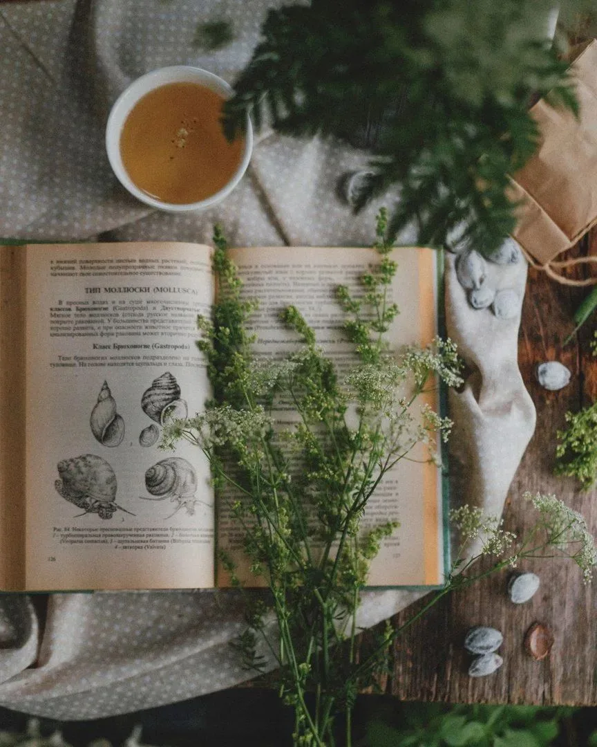 Нет, нет, книги не выложат вам сразу всё, чего вам хочется. Ищите это сами всюду, где можно, — в ста