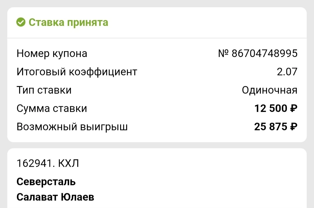 Хоккей 🏒