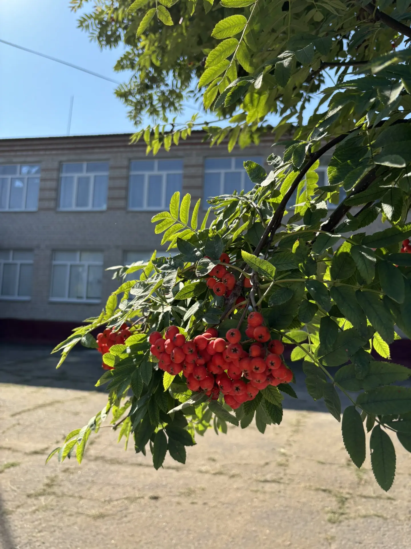 Уважаемые родители!