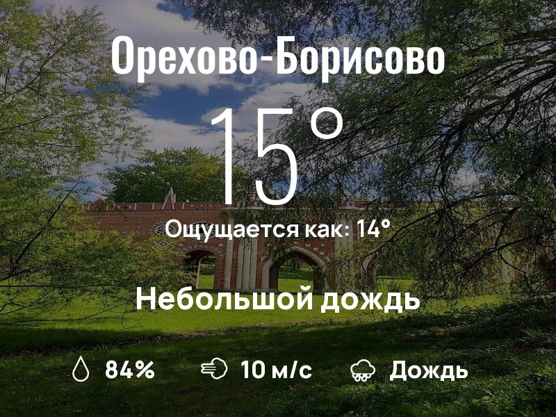 Что с погодой в Орехово-Борисово?