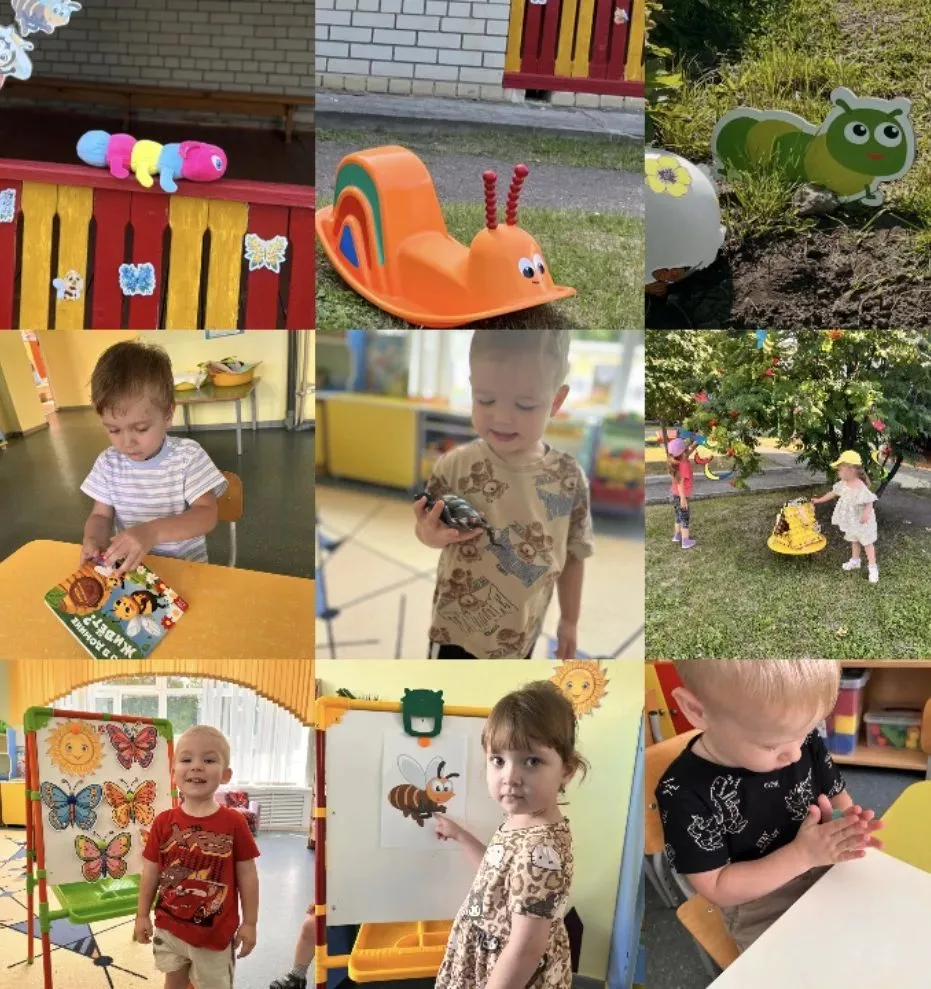 «Удивительный мир насекомых».   
В летнем мини-музее группы №3, дети изучают строение жуков, их пова