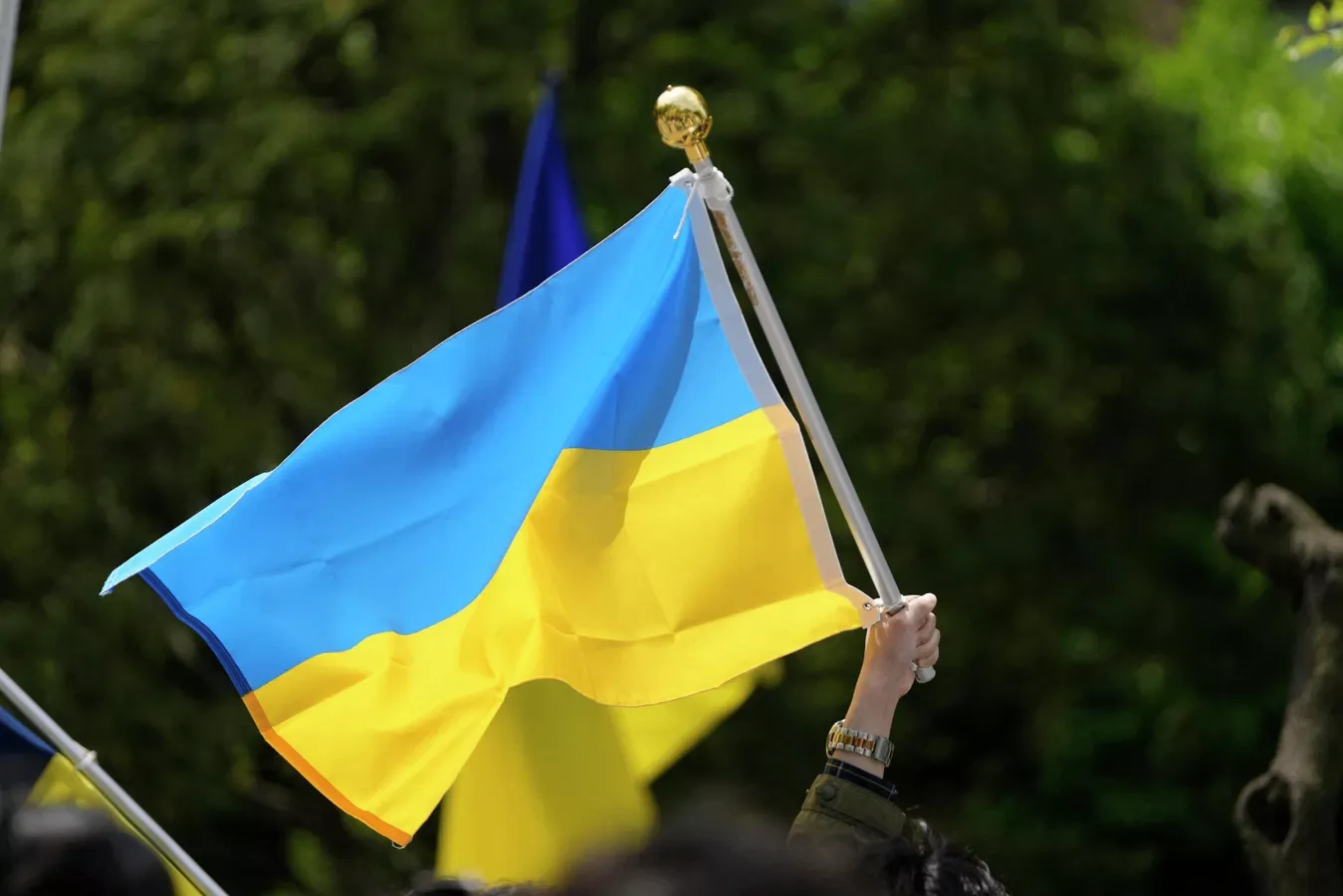 Начальники нескольких военкоматов на западе Украины фиктивно повышали показатели по моб...