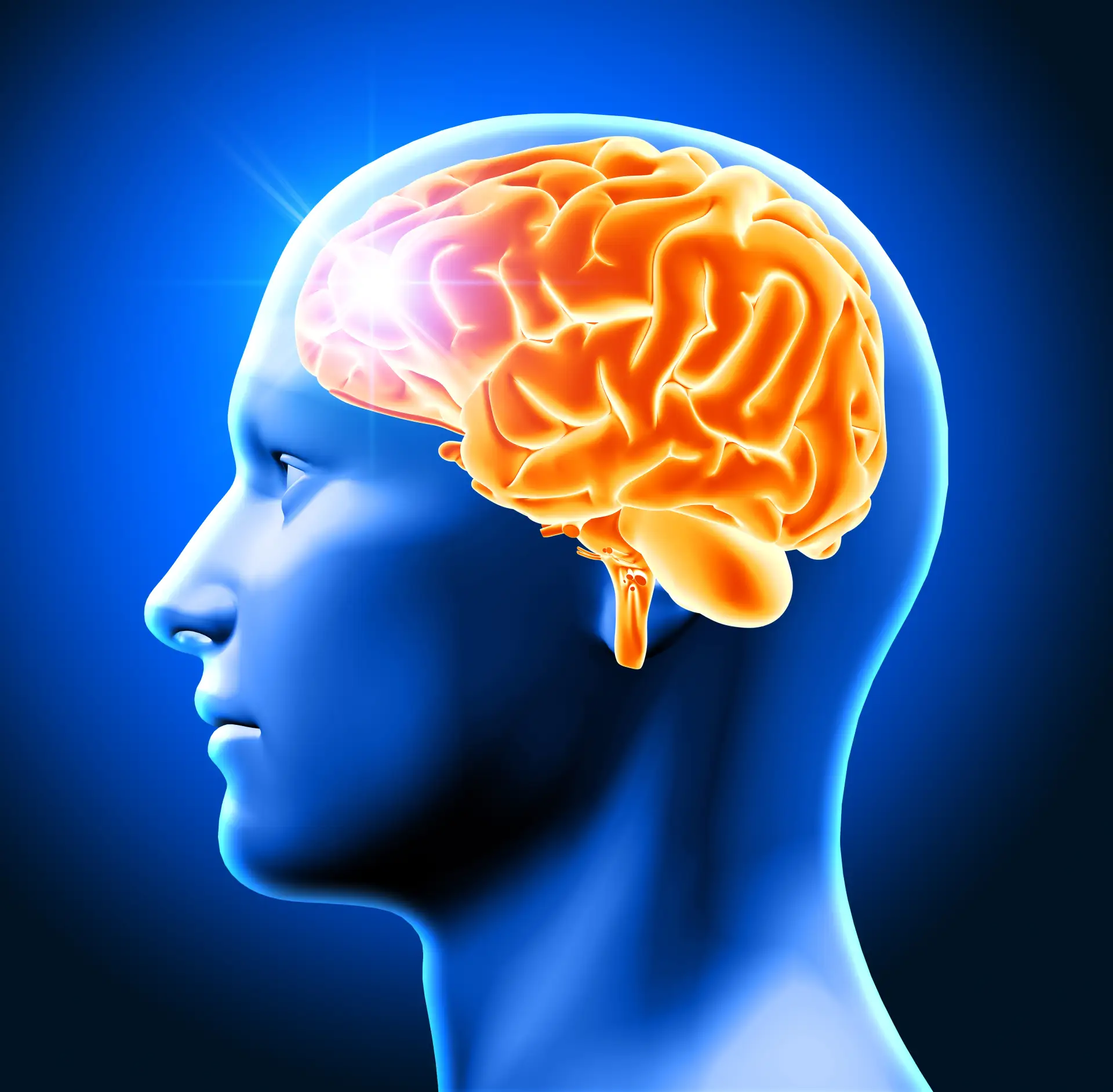 🧠 Учёные выяснили, что мозг выводит отходы жизнедеятельности через нос.

Исследователи из США обнар