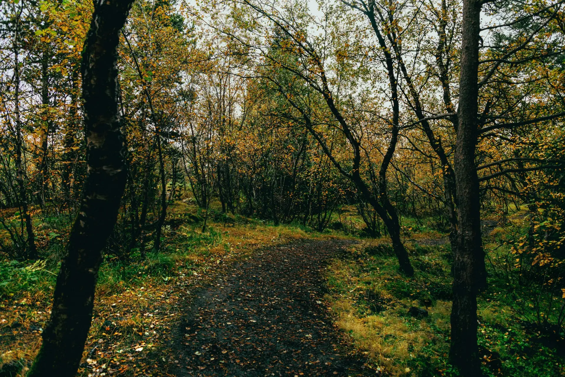 🌎 В ритме природы