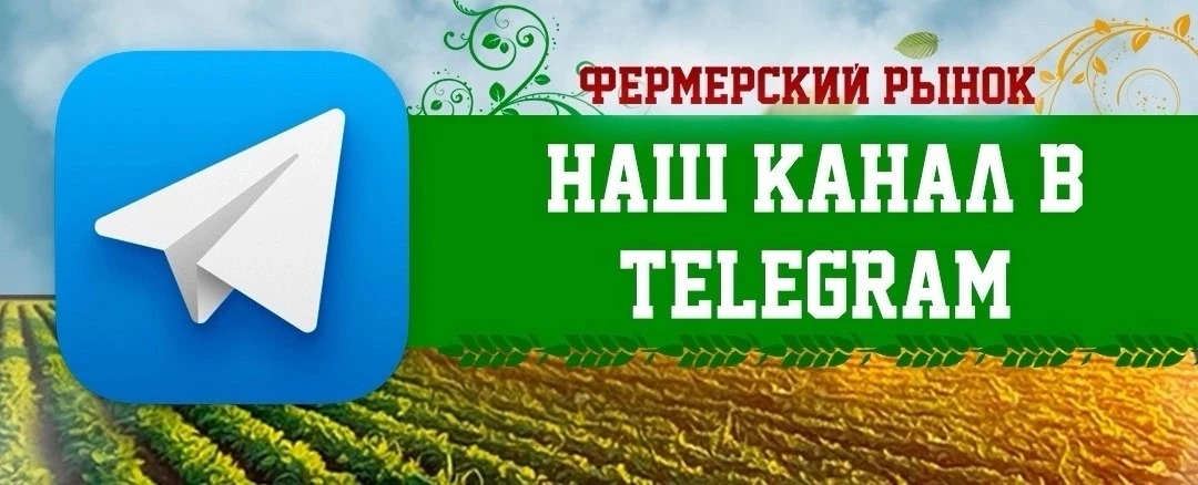 Мы в ТГ ⬇️