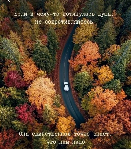 🍁⚜️ Слушайте свою Душу 🍁⚜️